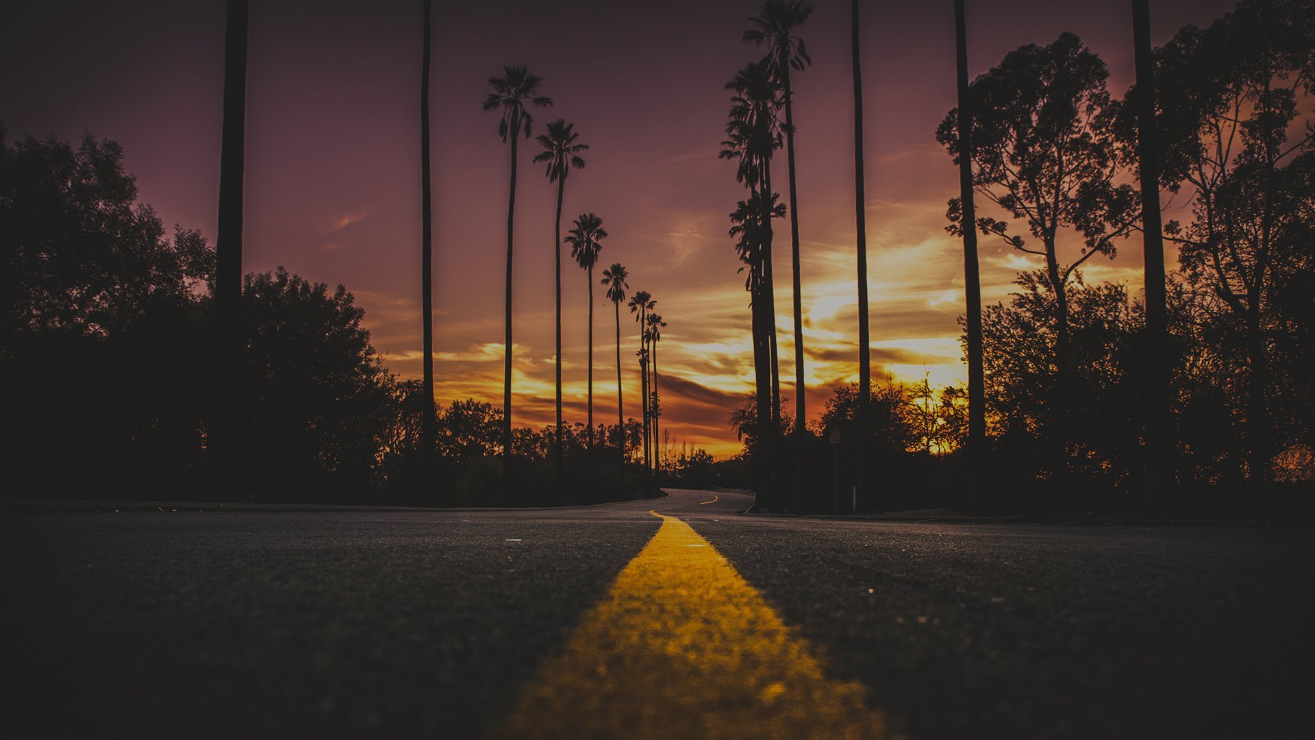 Los Angeles Apartments