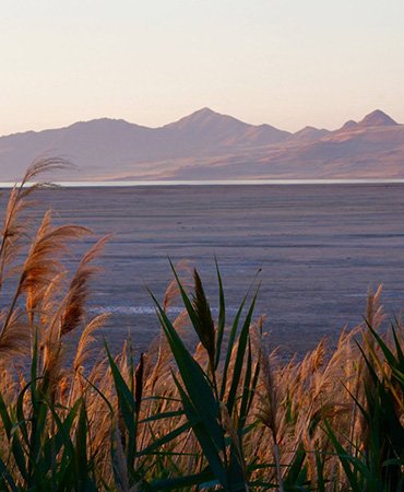 Utah Lake Utah Lake
