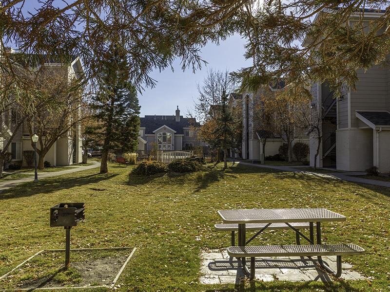 BBQ & Picnic Area | Country Springs