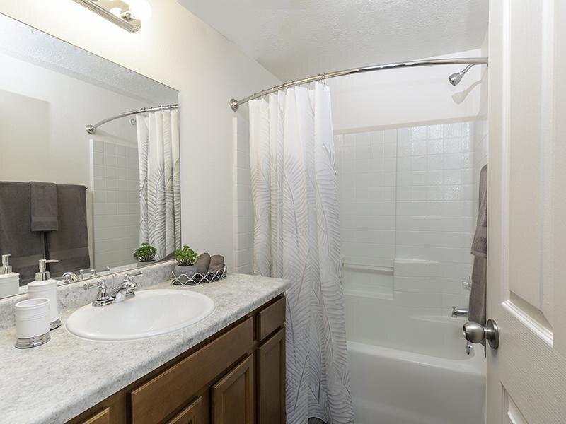 Bathroom Sink and Shower | Country Springs