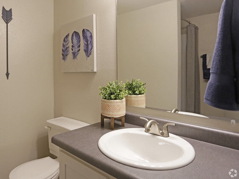 Bathroom Sink | Enclave at Redwood