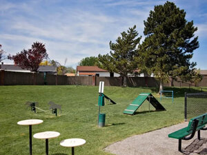 Outdoor Dog Park | Enclave at Redwood