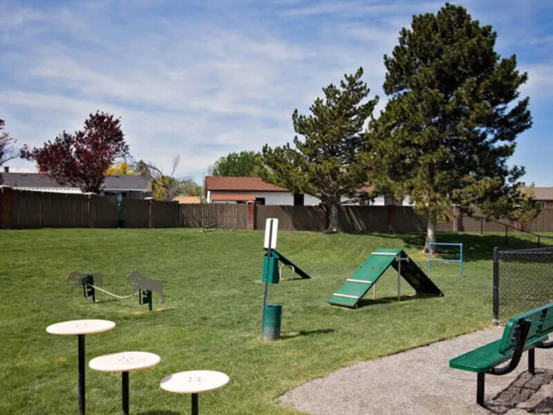 Outdoor Dog Park | Enclave at Redwood
