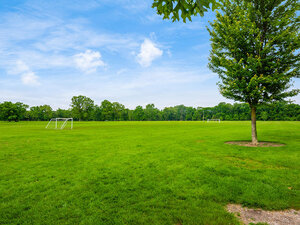 Breathtaking Area | Post Woods