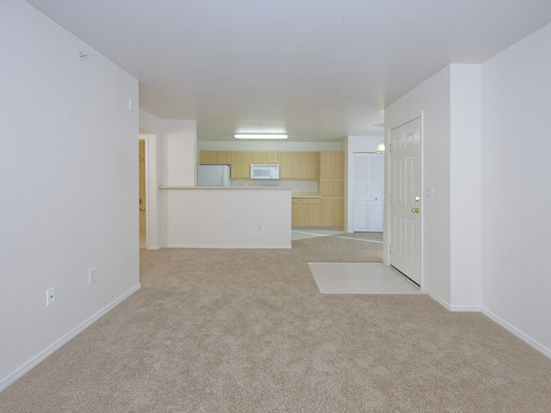 Interior Area | Fountain Springs
