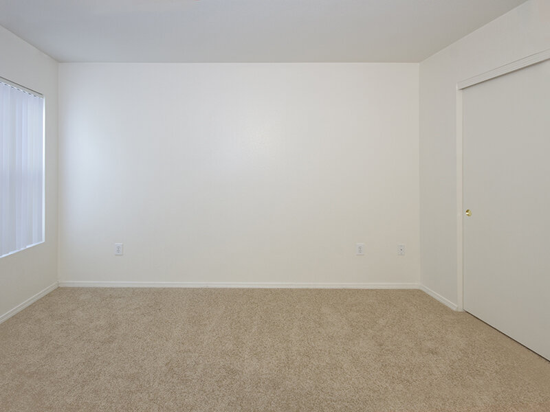 Spacious Room | Fountain Springs