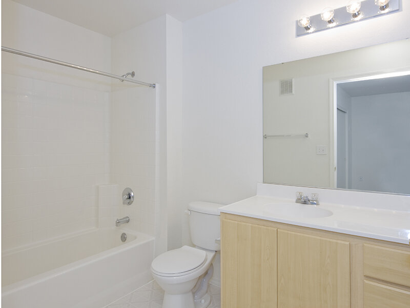 Bathroom | Fountain Springs