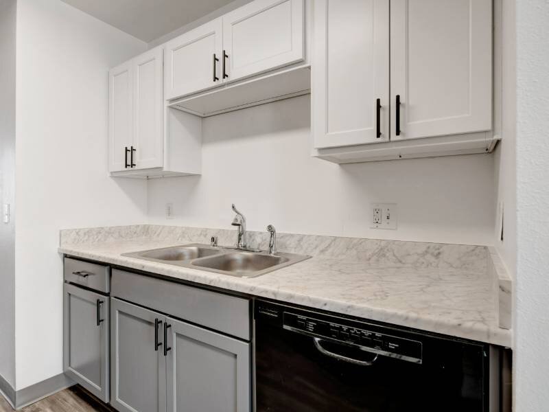 Dishwasher | Winfield Apartments in Colorado Springs, CO