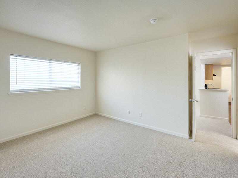 Living Room with Window and Carpeted Flooring | Dayton Meadows