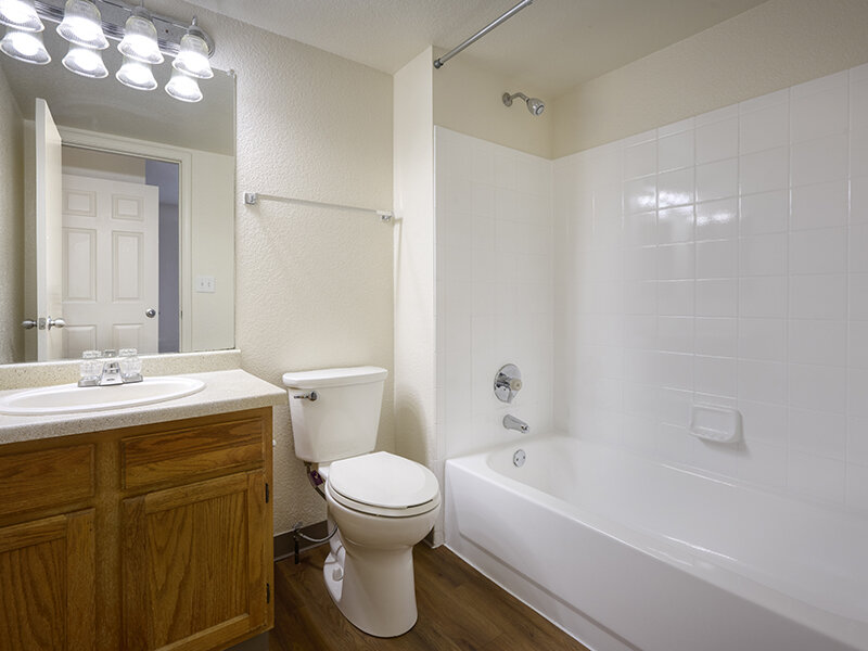 Bathroom with Lights and Shower | Dayton Meadows