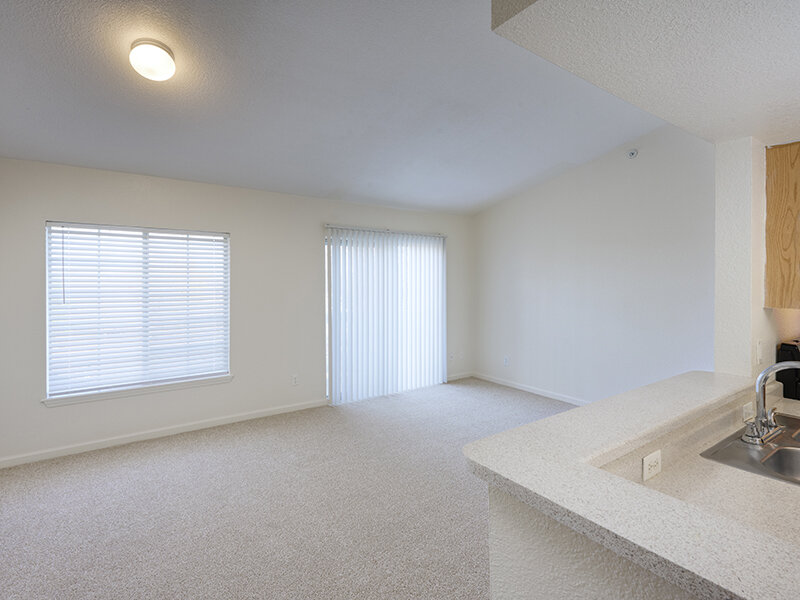 Living Room with Carpeted Flooring and Ceiling Light | Dayton Meadows