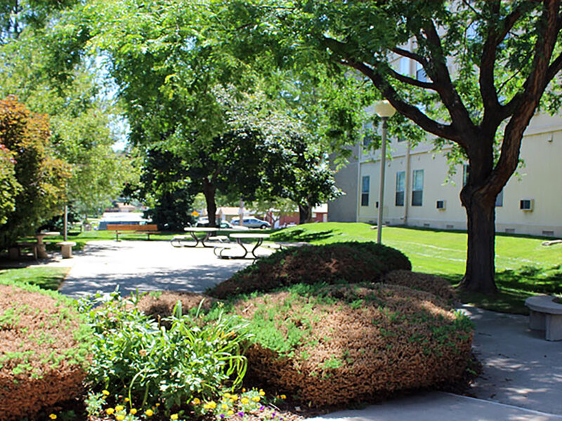 Marcella Manor Apartments in Arvada