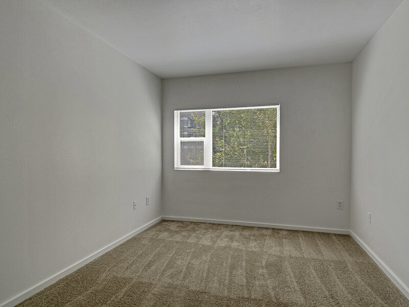 Large Room | The Commons