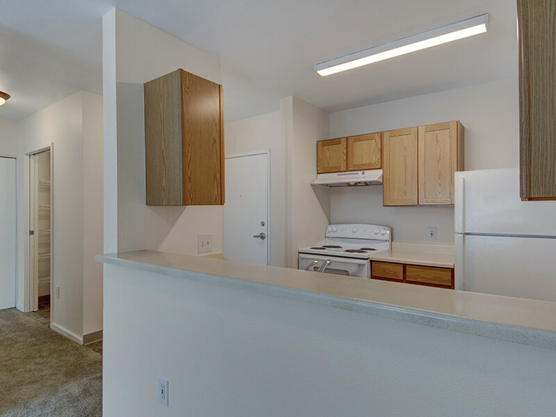 Kitchen | The Commons