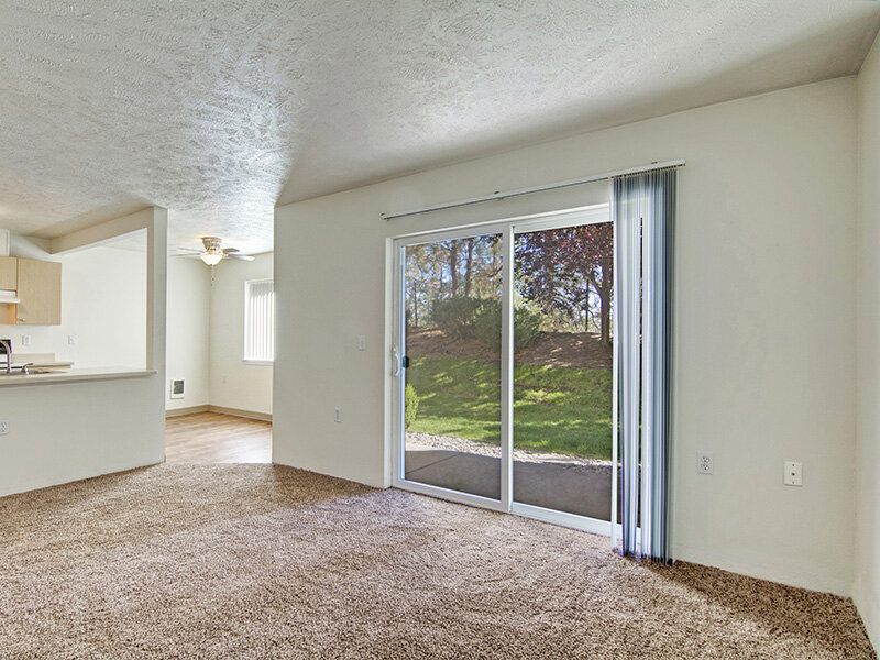 Large Window | Deer Run