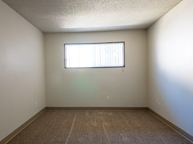 Large Window | Mount Vernon Terrace