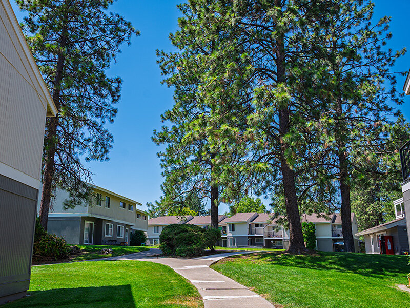 Apartment Area | Mount Vernon Terrace