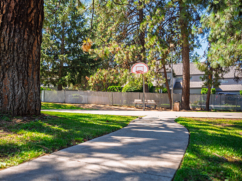 Sidewalk | Mount Vernon Terrace