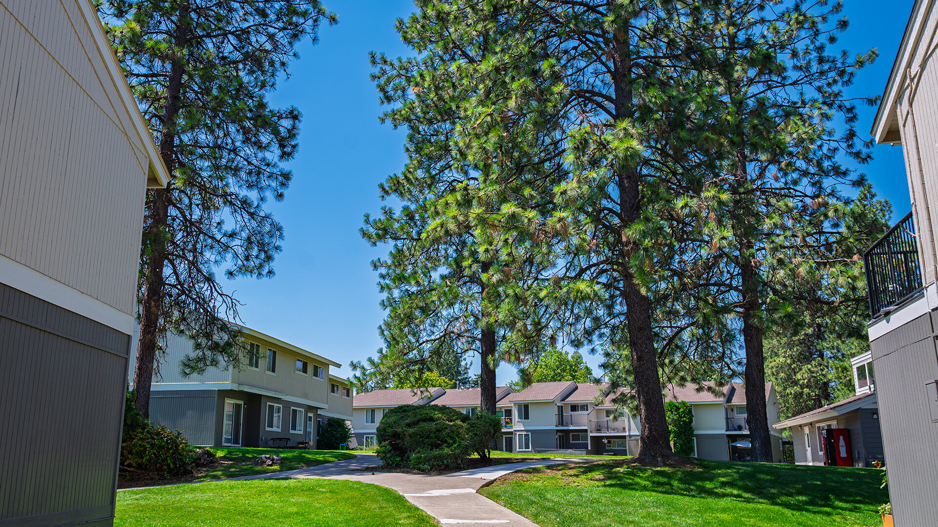 Mount Vernon Terrace Apartments Amenities