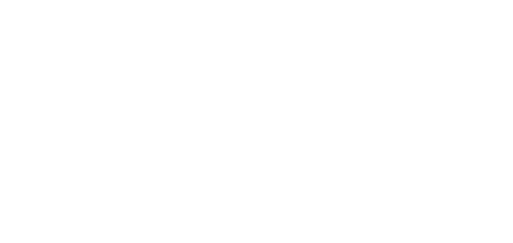 Lakeside Village Logo - Special Banner