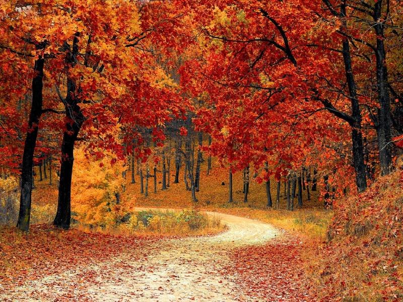 Rosemont Bluff Natural Area