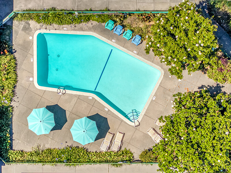 Pool | Nova at Terra Linda