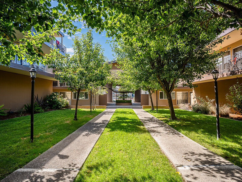 Courtyard | Nova at Terra Linda