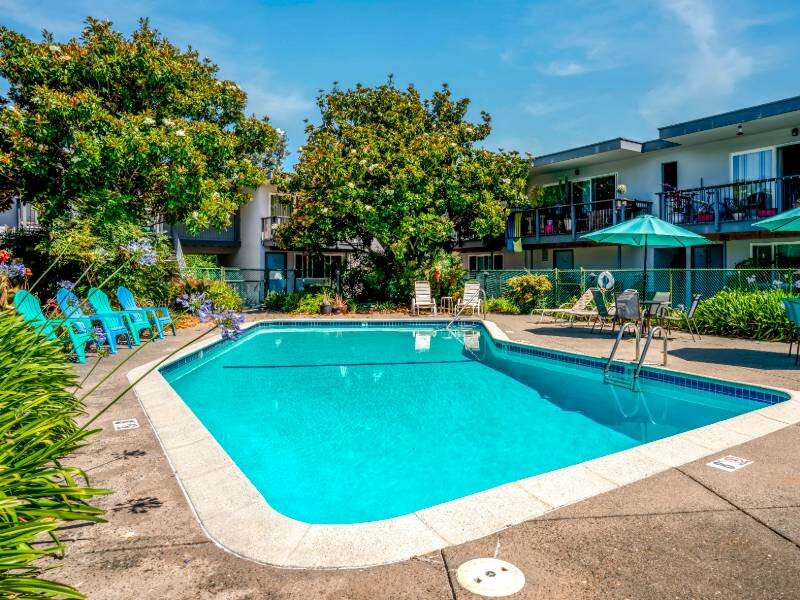 Swimming Pool | Nova at Terra Linda