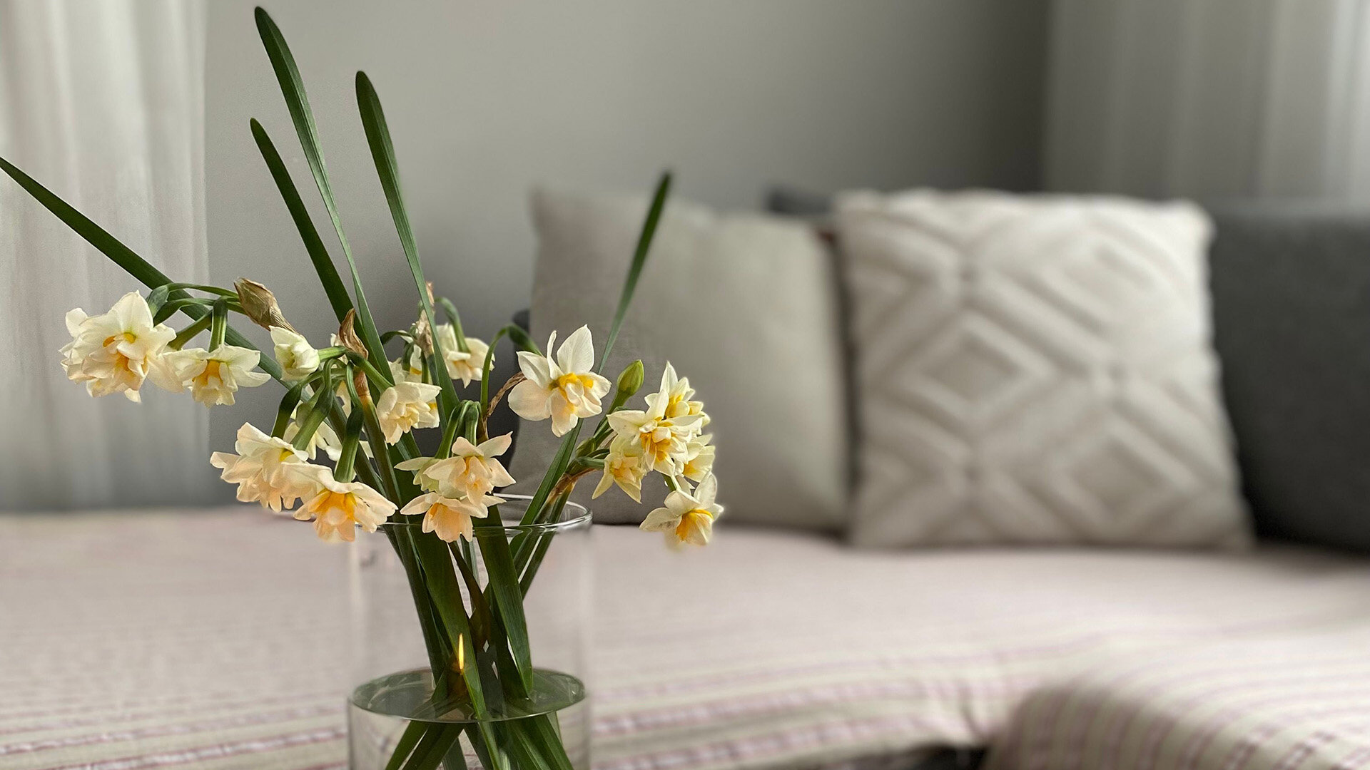 Center Village Apartments in Portland, OR