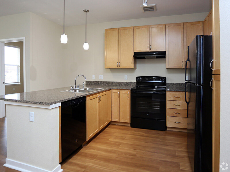Kitchen Counter and Stainless Steel Sink with Ceiling Lights | Residence at University Hills