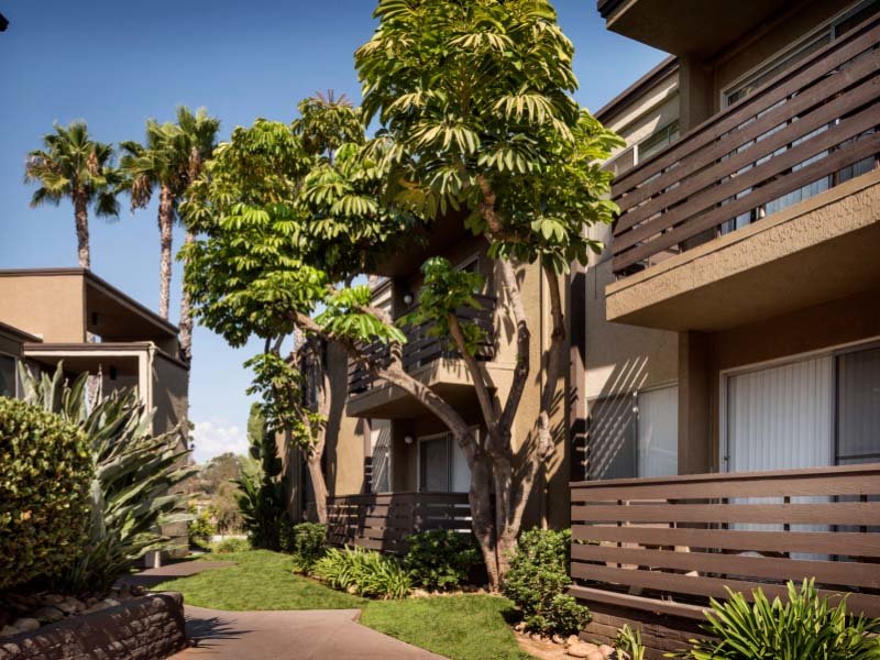 Professional Landscaped Grounds | Elan Avante Apartments