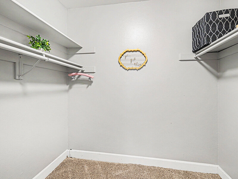Closet with Hanging Rods and Carpeted Flooring | Innovation at Fitz