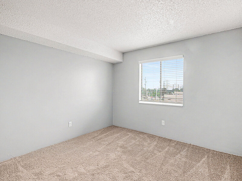 Bedroom with Window and Carpeted Flororing | Innovation at Fitz