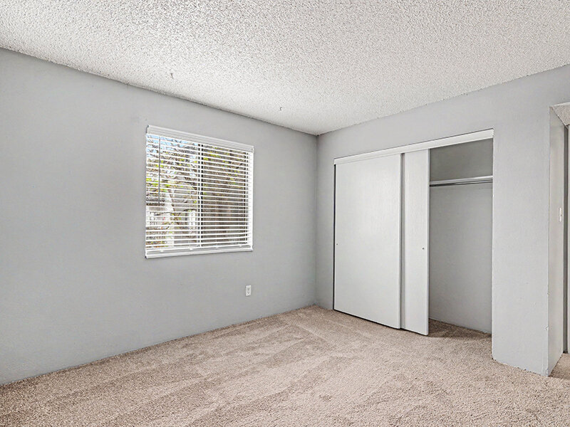 Apartment Bedroom with Open Closet and Carpeted Flooring | Innovation at Fitz