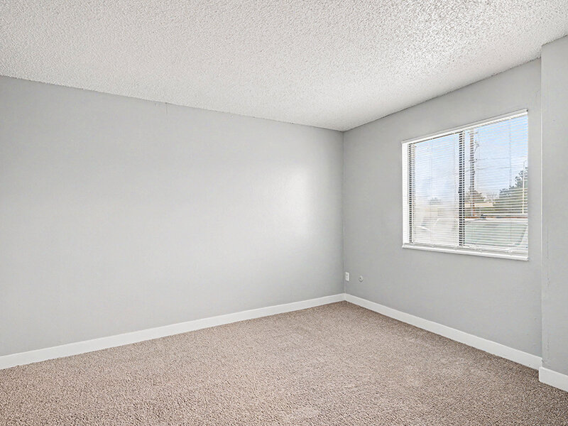 Bedroom with Carpeted Flooring and Window | Innovation at Fitz
