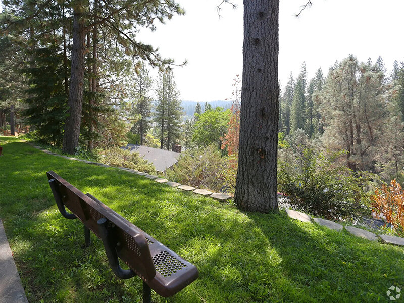 Beautiful Views | Berryhill Apartments