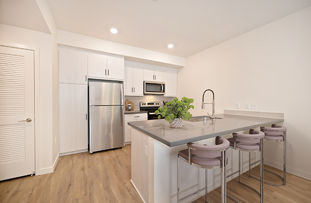 The Commodore Apartments Features