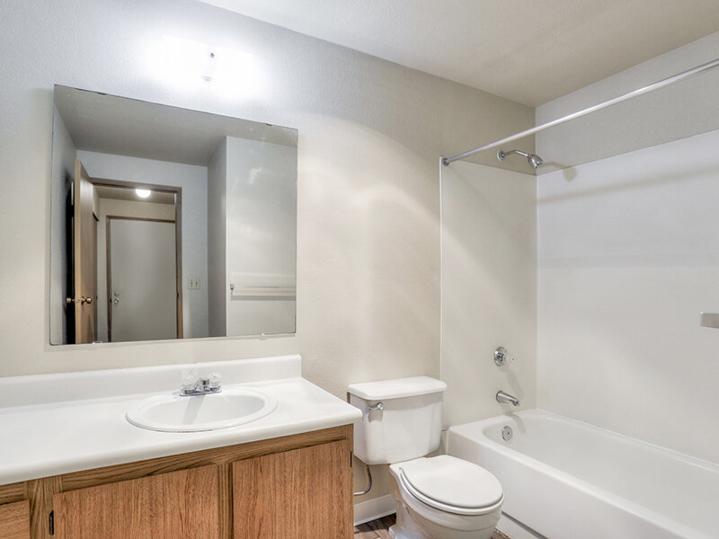 Interior Bathroom | Sunnydale
