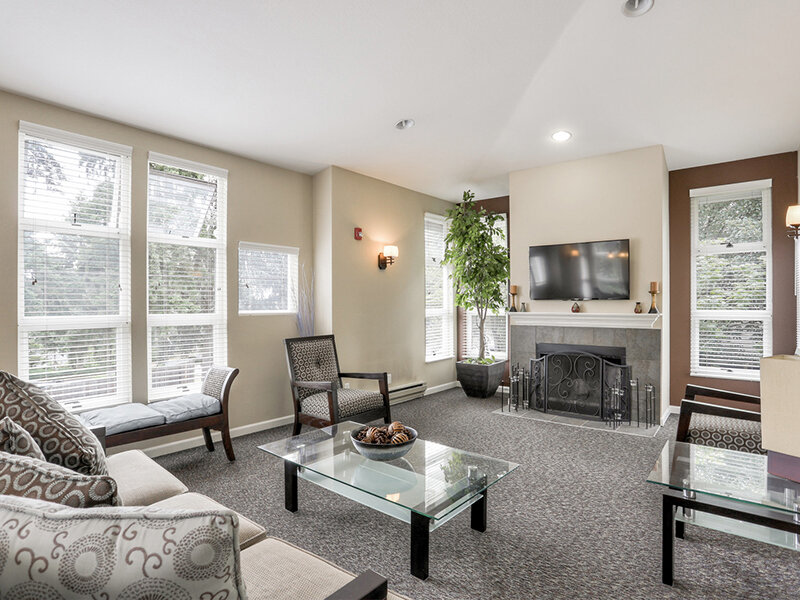 Community Area | Sunnydale