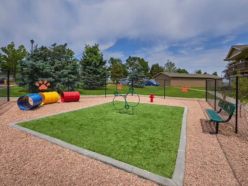 Dog Park | Crossroads at City Center