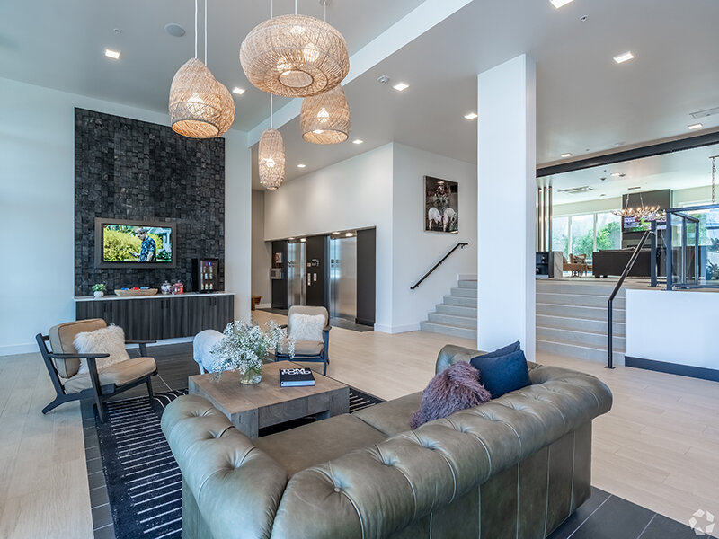 Large Living Room Space | Ion Queen Anne