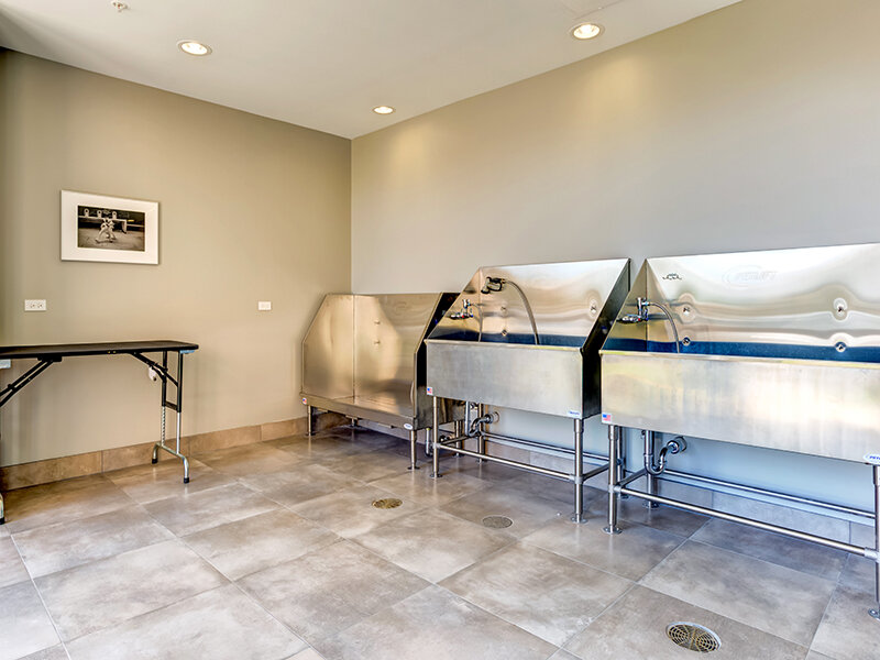 Pet Washing Station | 500 Station