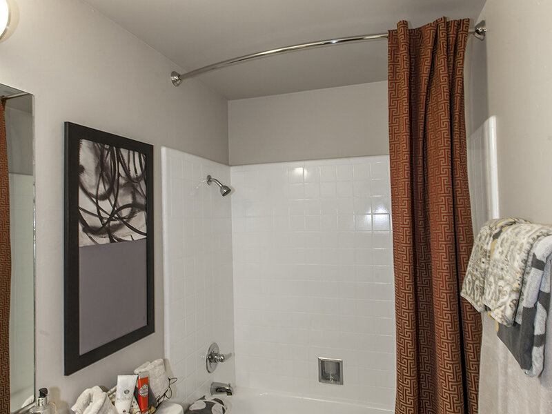 Shower | Park Kiely