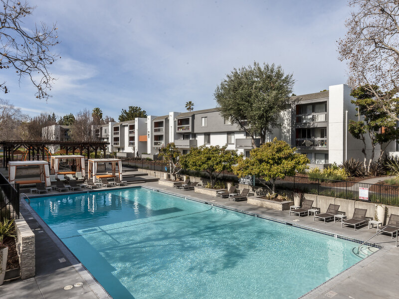 Outdoor Pool | Park Kiely