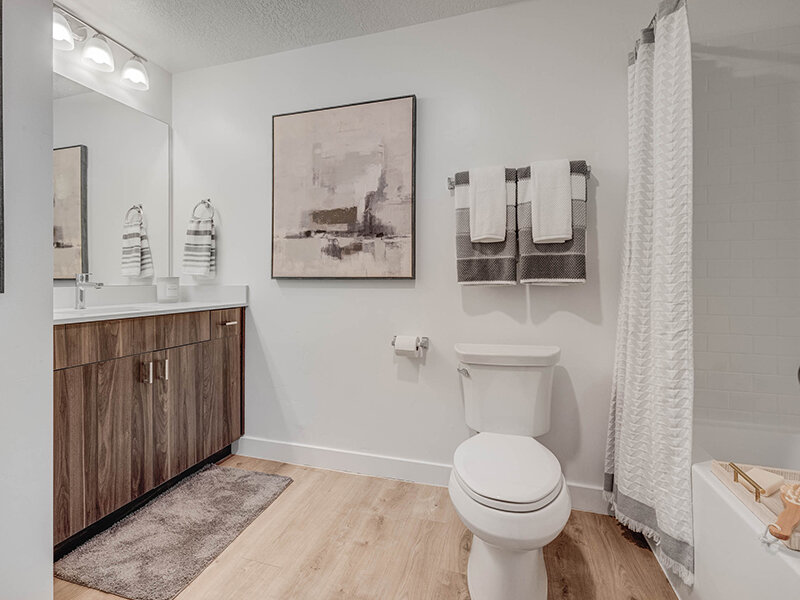 Bathroom | Vida at Daybreak