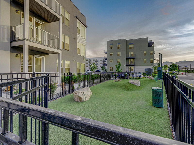 Dog Park | Vida at Daybreak