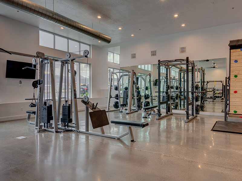 Fitness Space | Vida at Daybreak
