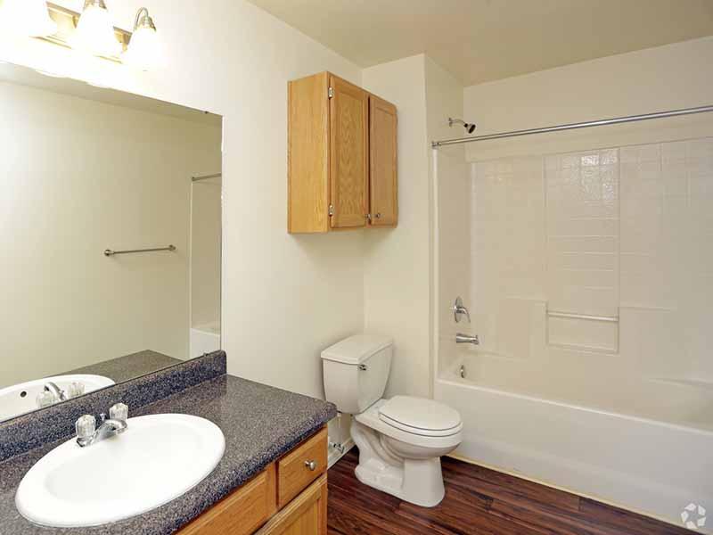 Master Bathroom | Bridger Pointe Apartments