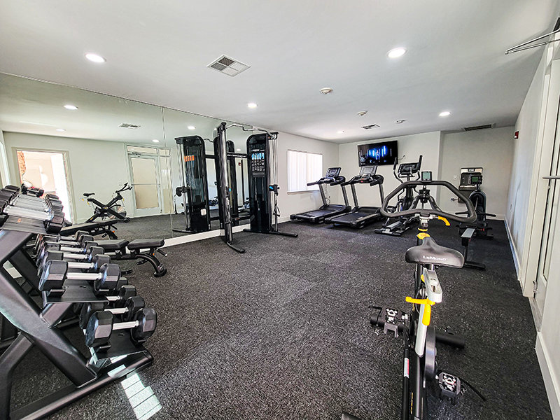 Apartments with a Gym | Oasis Palms