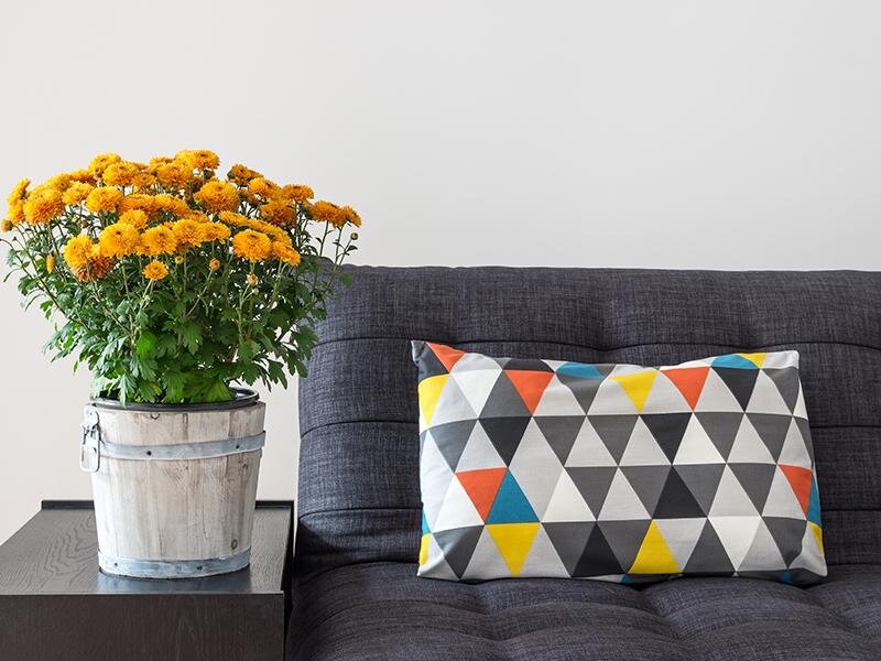 Living Room | Otto Merida